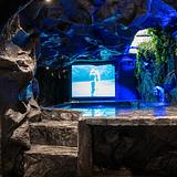 La Rock • 5BR King Bed Cave + Jacuzzi @ Lleras photo 20