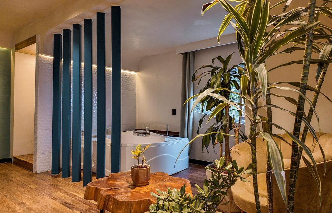 Luxury Mansion in Poblado/disco/2pools/Jacuzzi/AC photo 4