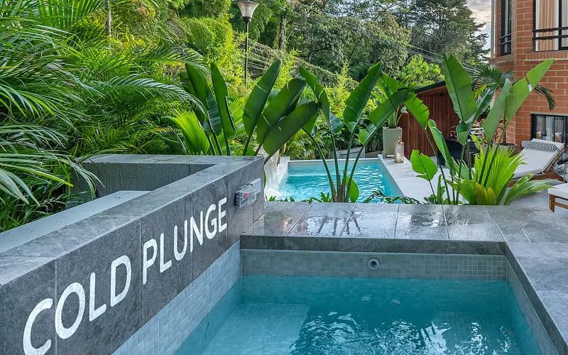 Amenity Packed W Cold Plunge/Sauna/Pool/Jacuzzi photo 3