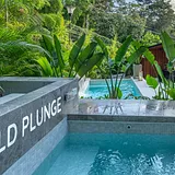 Amenity Packed W Cold Plunge/Sauna/Pool/Jacuzzi photo 3